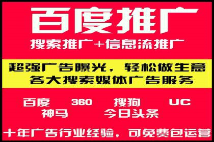 百度推广优化策略：成功案例解析